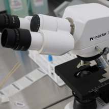 Galería de Neo Laboratorio